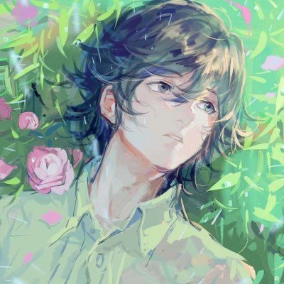 枫树价格3年跌超70%